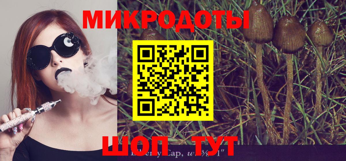 Псилоцибиновые грибы Magic Shrooms  Волжский 